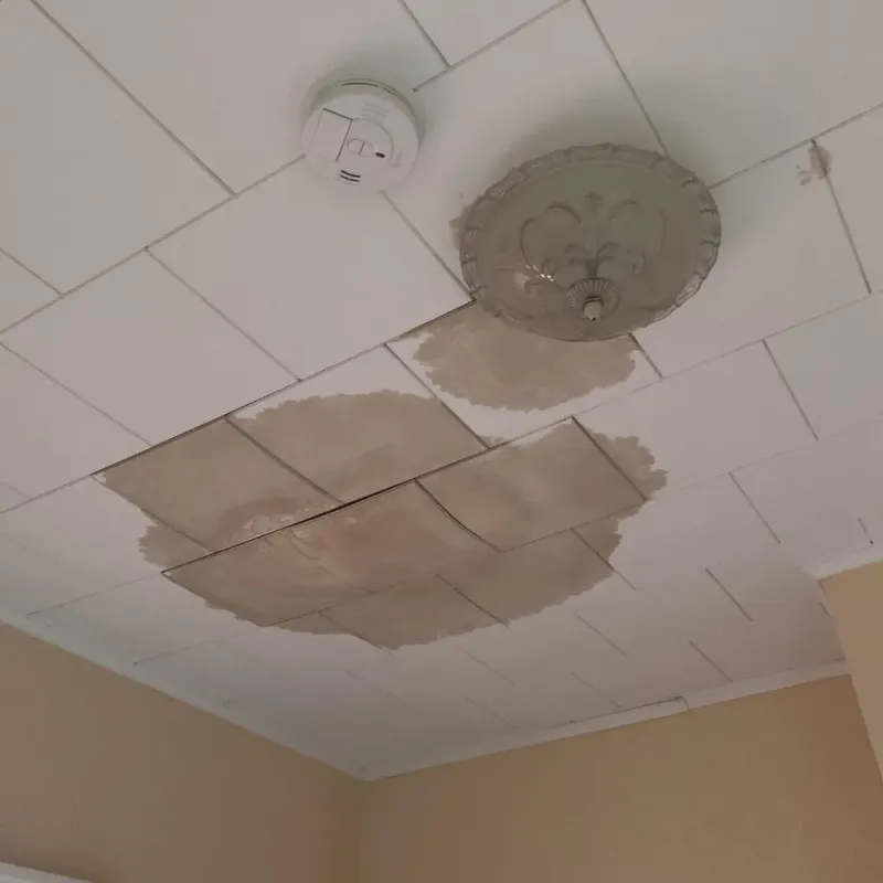 Ceiling Water Damage Repair in West Milton, OH