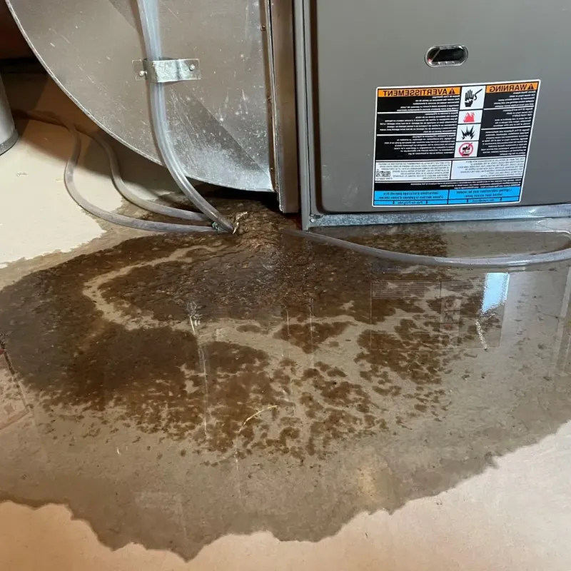 Pipe Burst and Leak Restoration in West Milton, OH